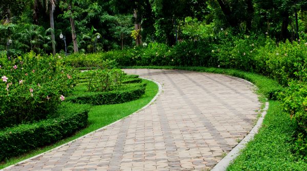 Paver Walkway Repair in Albany