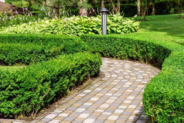 Paved Landscaping in Albany