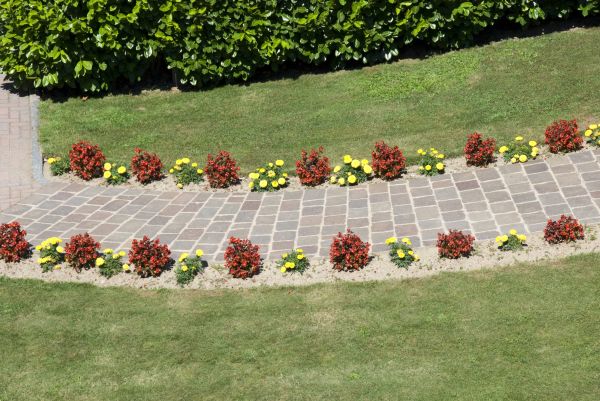 Garden Paving in Albany