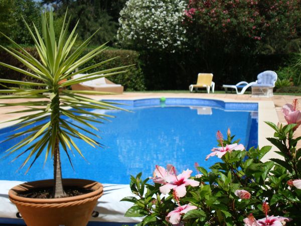 Pool Terrace Renovation in Albany