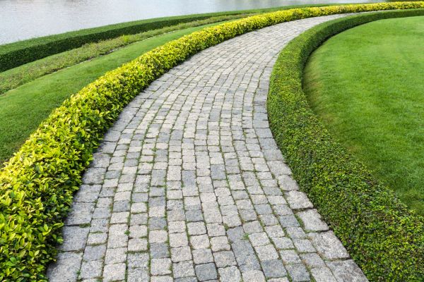 Sidewalk Pavers Installation in Albany