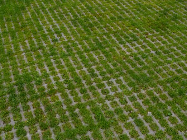 Permeable Pavement Service in Albany