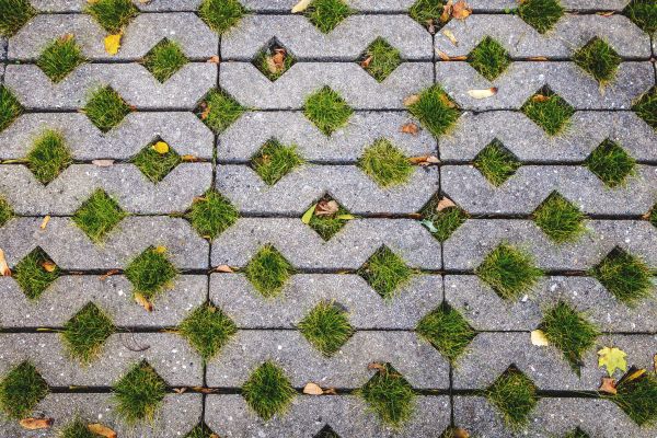 Porous Paver Installation in Albany
